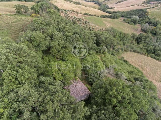 Rustico in vendita a Pienza, Siena