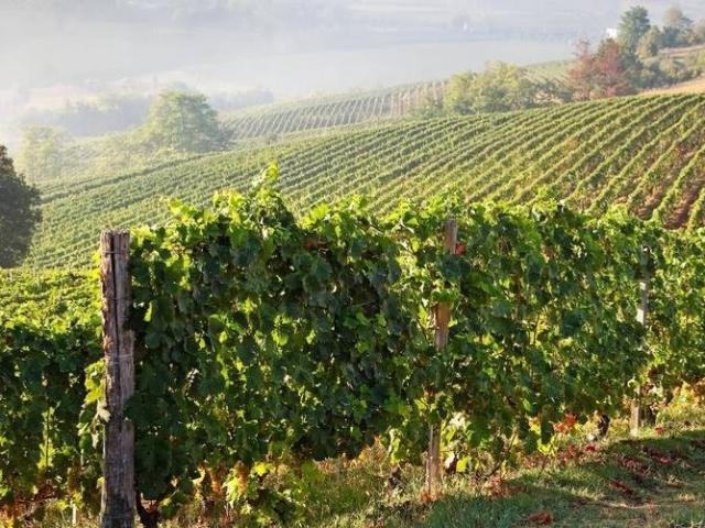 Rustico in vendita a Piemonte, Cuneo