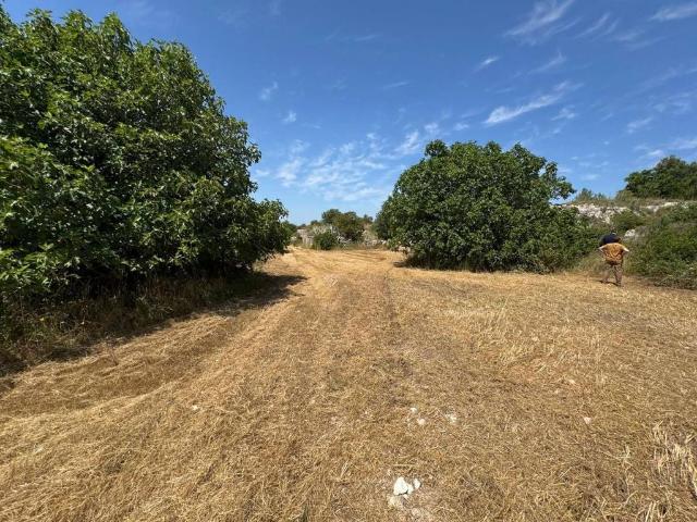 Rustico in vendita a Puglia, Taranto