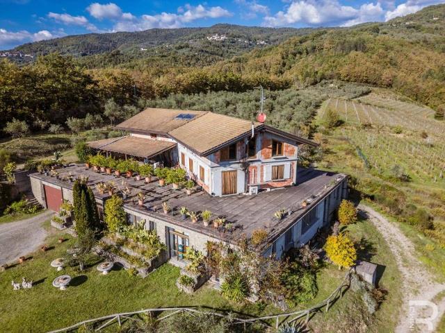 Rustico in vendita a Unione di comuni Montana Lunigiana, Fivizzano