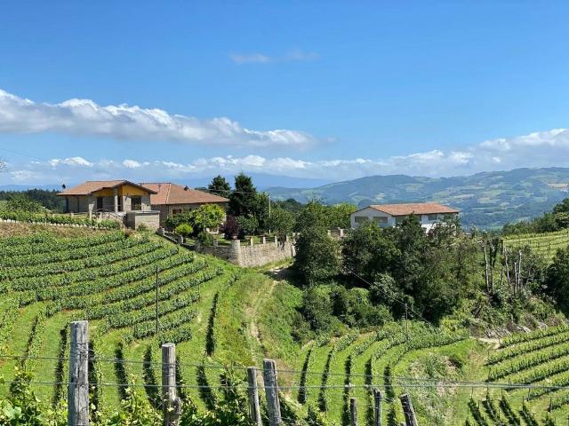 Rustico in vendita a Piemonte, Asti