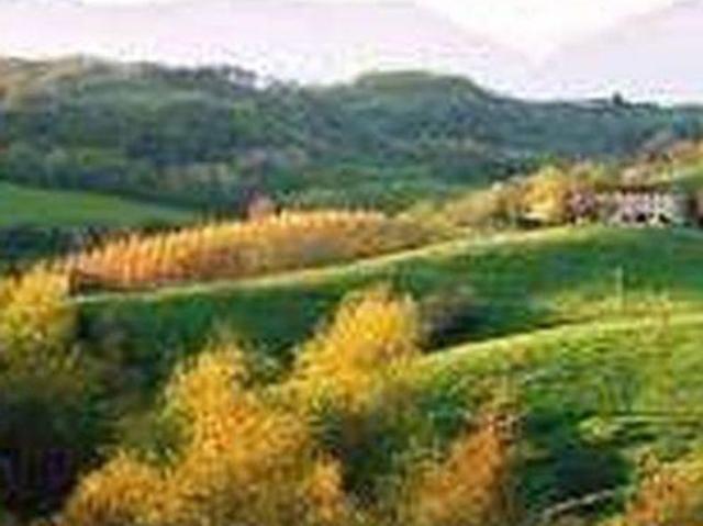 Rustico in vendita a Susegana, Veneto
