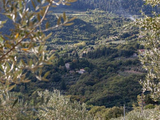 Rustico in vendita a Sesto Fiorentino, Toscana