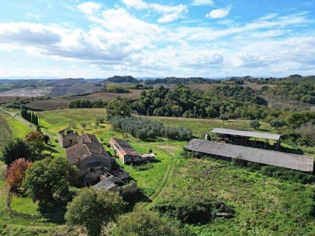 Rustico in vendita a Asciano, Toscana