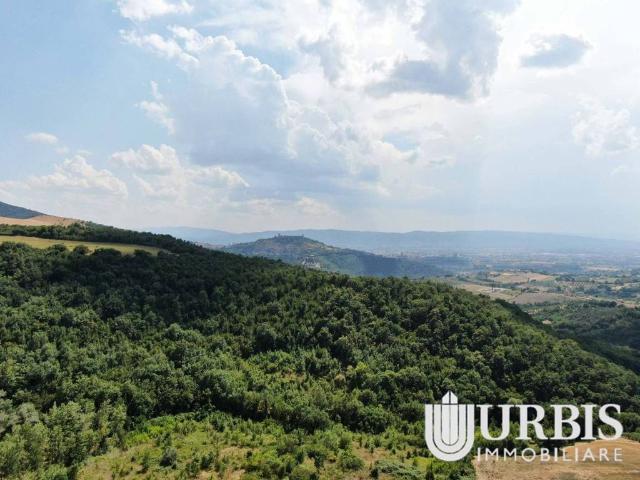Rustico in vendita a Assisi, Umbria