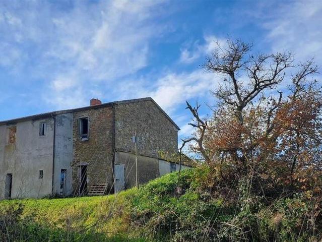 Rustico in vendita a Scansano, Toscana