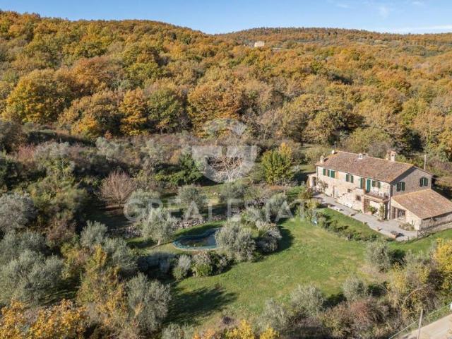Rustico in vendita a Montegabbione, Umbria