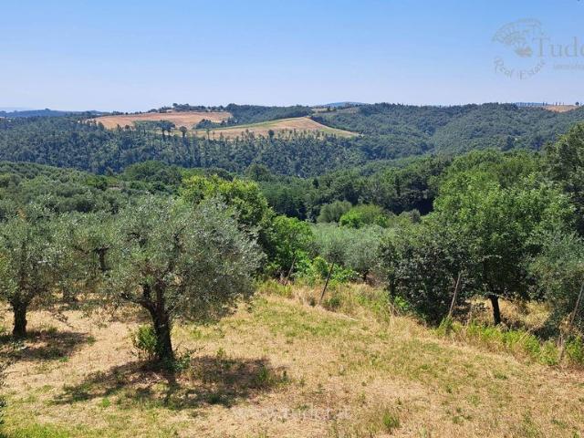 Rustico in vendita a San Venanzo, Umbria