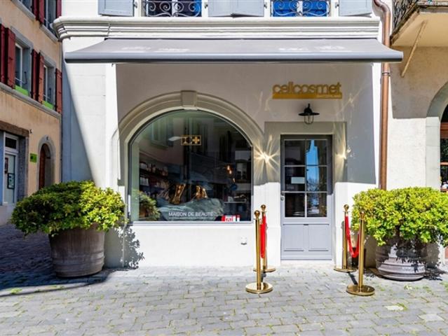 Wohnung kaufen in La Croix, Lutry, Waadt
