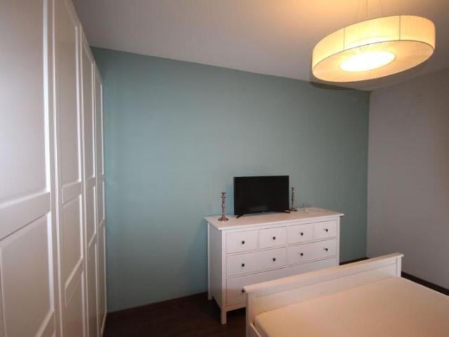 Apartament închirieri în Timisoara, Timiș