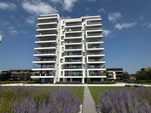 Kot location à Tamise, Oost-Vlaanderen