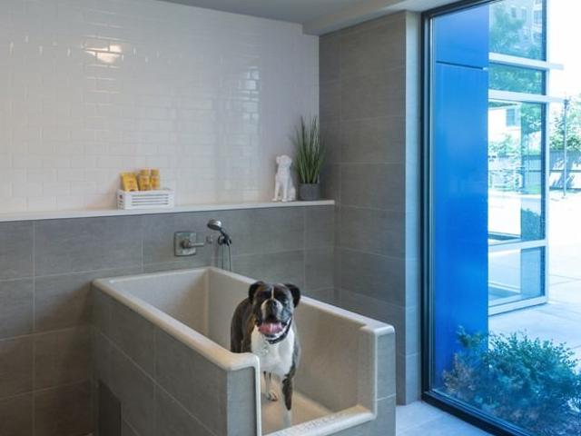 Apartment for rent in Cambridge, Massachusetts