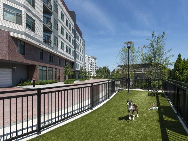 Apartment for rent in Cambridge, Massachusetts