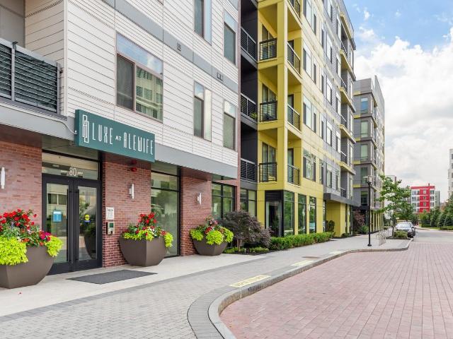 Apartment for rent in Cambridge, Massachusetts