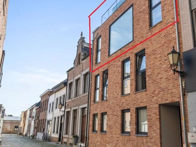 Appartement location à Maaseik, Limburg