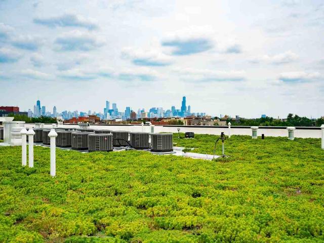 Apartment for rent in Chicago Park, Illinois