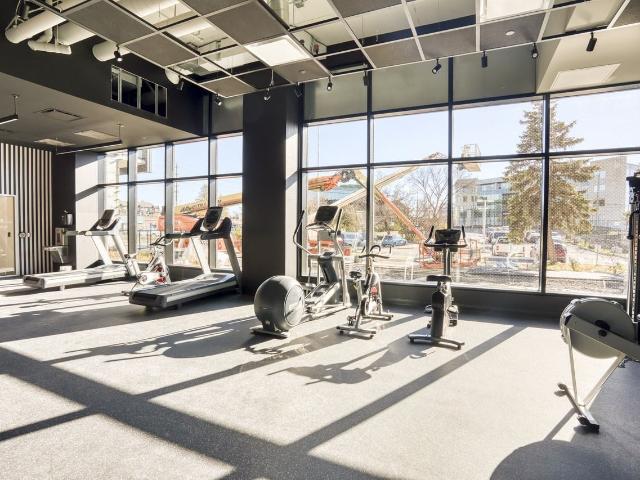 Apartment for rent in Mulhurst Bay, Ontario
