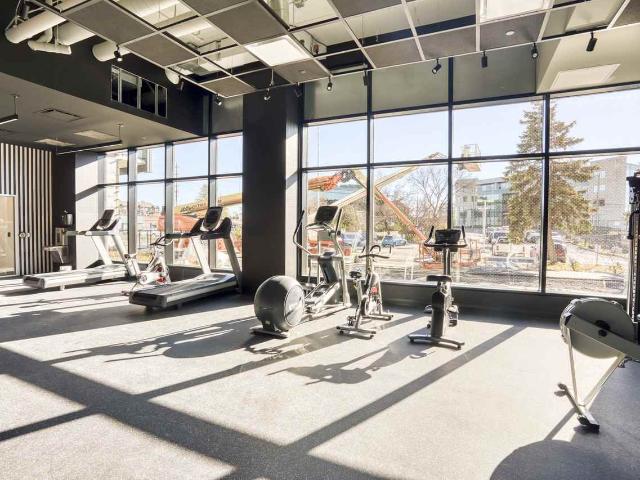 Apartment for rent in Rideau-Rockcliffe, Ottawa