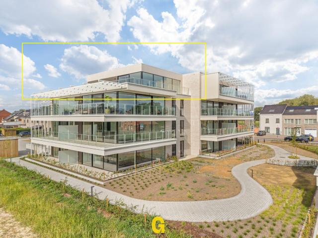 Appartement location à Hoeselt, Limburg