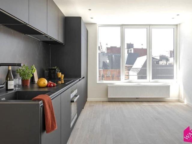 Kot location à Antwerpen