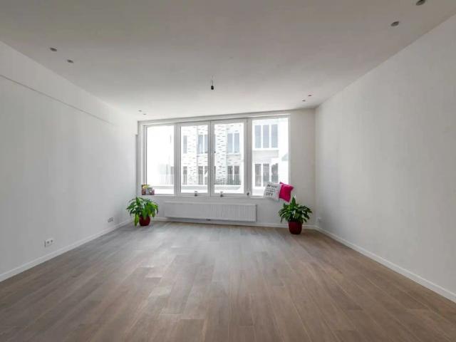 Appartement location à Antwerpen