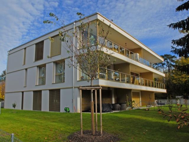 Wohnung mieten in Bellevue