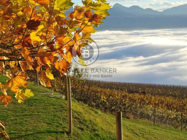 Einfamilienhaus kaufen in Lutry, Waadt
