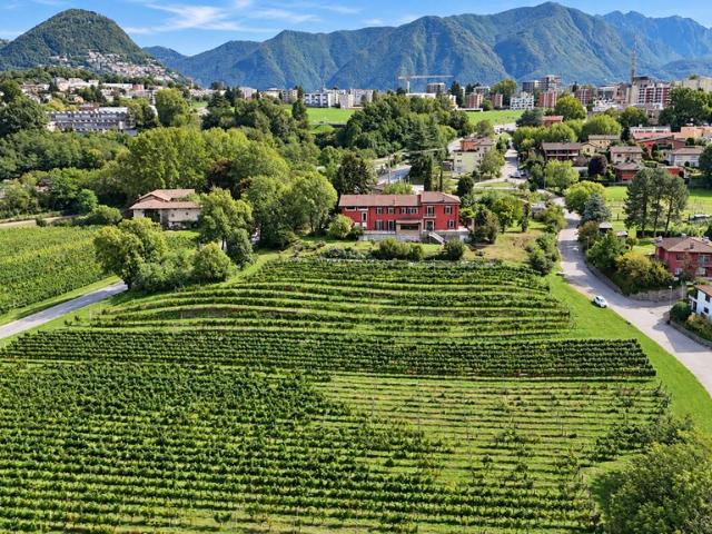 Einfamilienhaus kaufen in Aldesago, Tessin