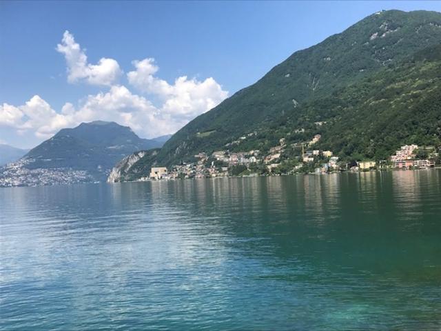 Einfamilienhaus kaufen in Collina d'Oro, Tessin