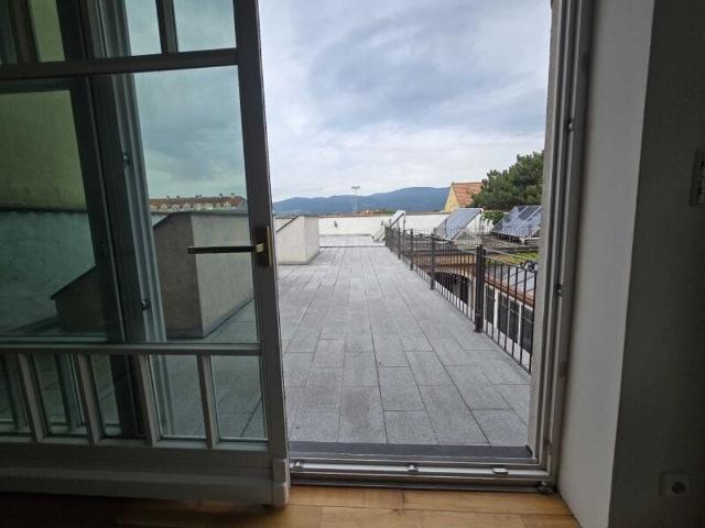 Einfamilienhaus kaufen in Katastralgemeinde Traiskirchen, Traiskirchen