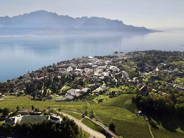 Einfamilienhaus kaufen in Chernex, Montreux
