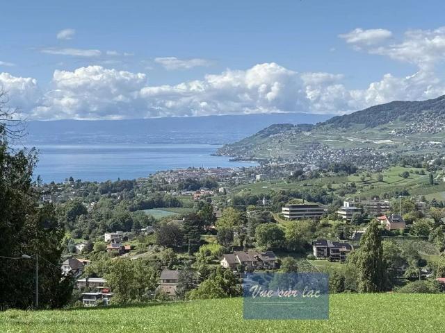 Einfamilienhaus kaufen in Chernex, Waadt