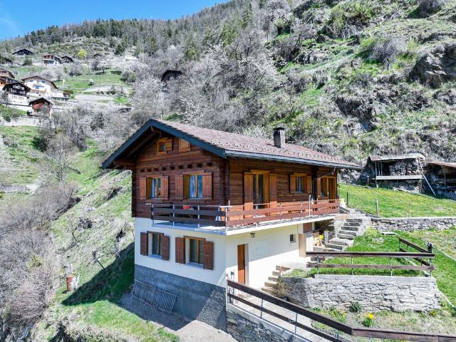 Haus kaufen in Isérables, Wallis