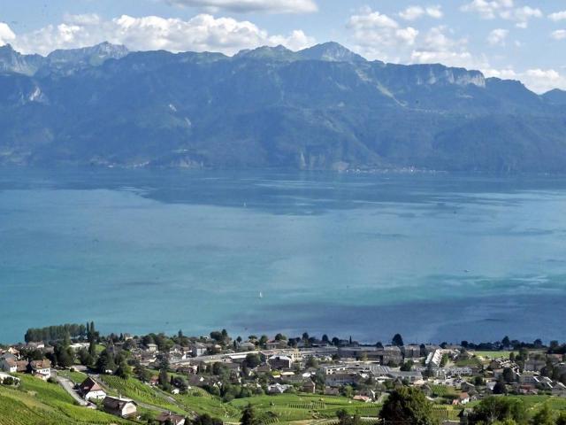 Maisonette kaufen in Bourg-en-Lavaux, Waadt
