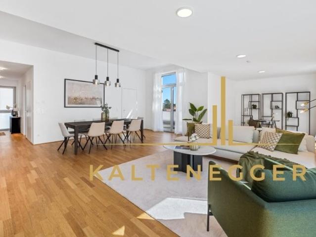 Penthouse kaufen in Wien