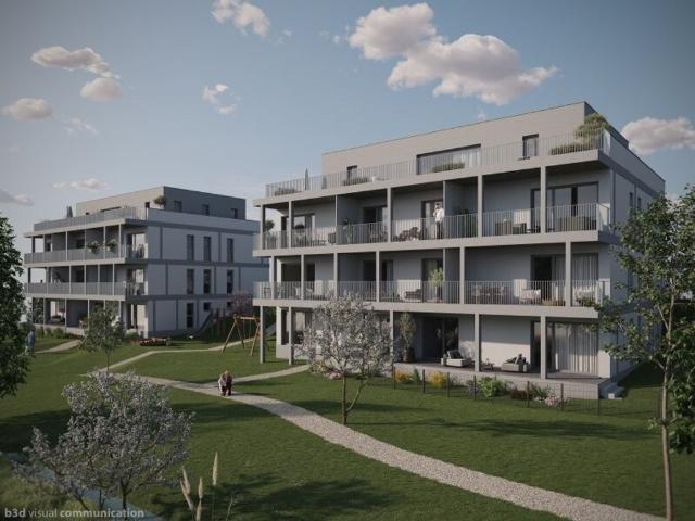 Penthouse kaufen in Edramsberg, Wilhering