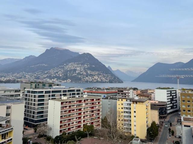 Attikawohnung kaufen in Paradiso, Tessin