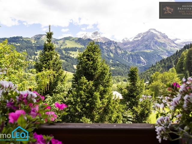 Haus kaufen in Lauenen bei Gstaad, Bern