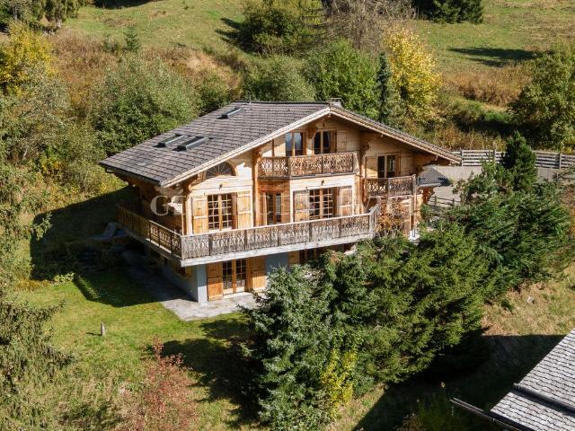 Haus kaufen in Ollon (VS), Waadt