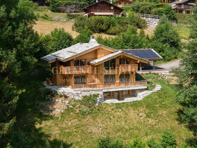 Haus kaufen in Gryon, Waadt