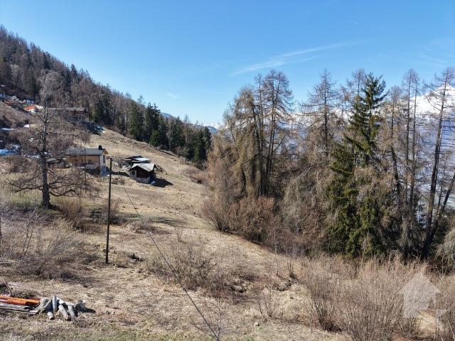 Haus kaufen in Les Mayens-de-Sion, Wallis