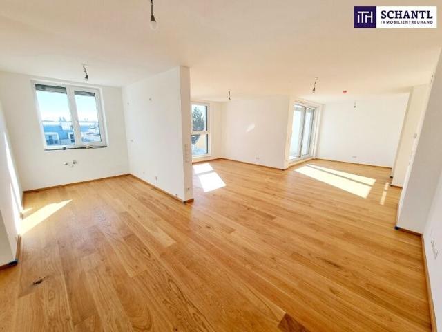 Penthouse kaufen in Wien