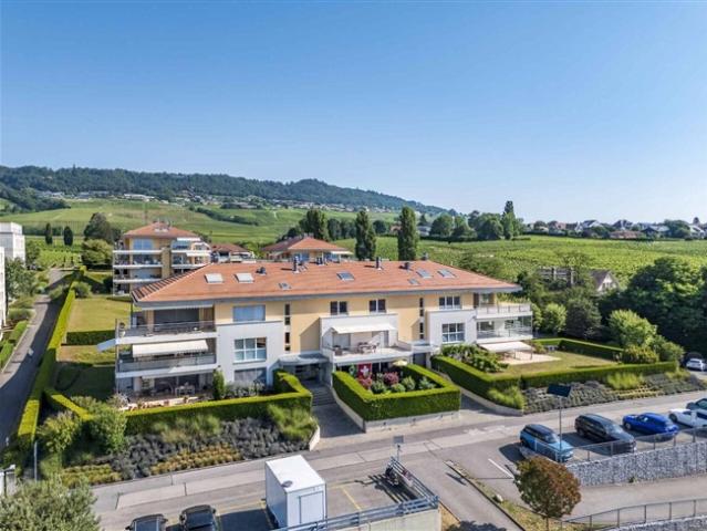 Wohnung kaufen in Mont-sur-Rolle, Waadt