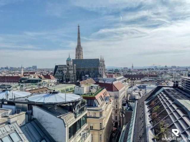 Penthouse kaufen in Wien