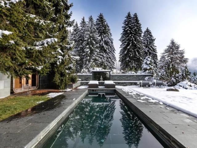 Haus kaufen in Gryon, Waadt