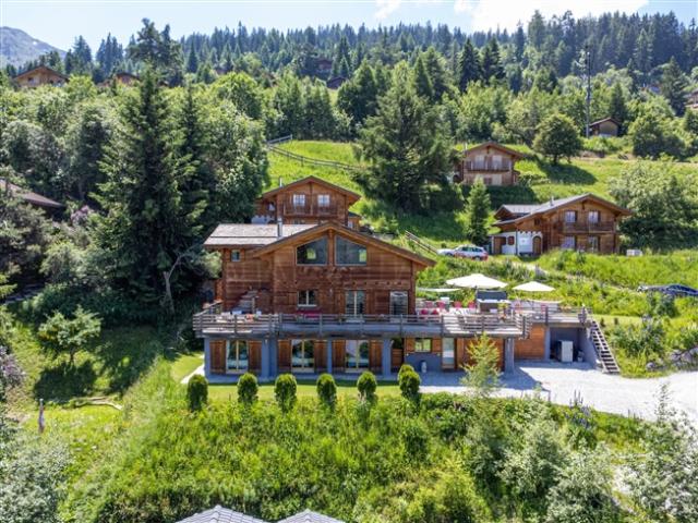 Haus kaufen in Riddes, Wallis