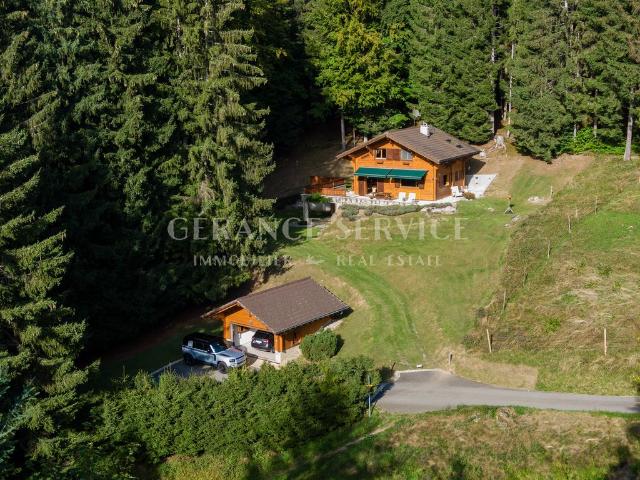 Haus kaufen in Gryon, Waadt