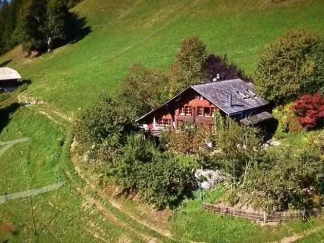 Haus kaufen in Rougemont