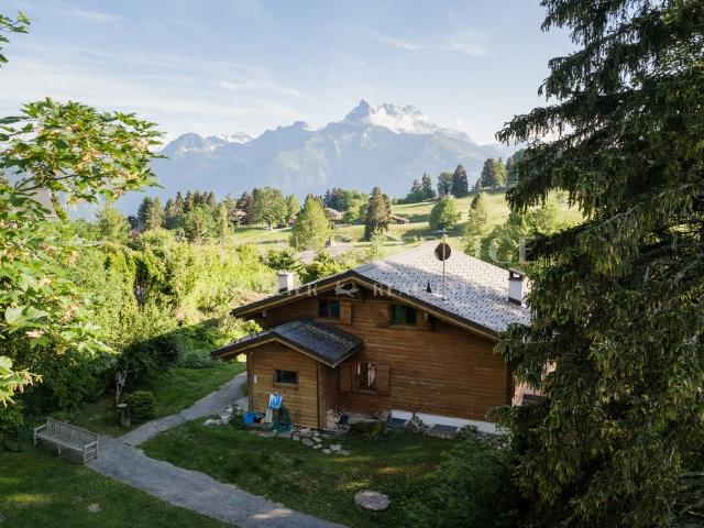 Haus kaufen in Ollon (VS), Waadt