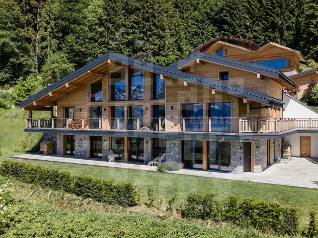 Haus kaufen in Ollon (VS), Waadt
